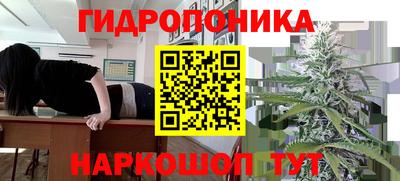 MESCALINE Гатчина