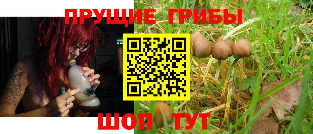 Галлюциногенные грибы прущие грибы  Псилоцибиновые грибы MAGIC MUSHROOMS  Трёхгорный  Вход с VPN 